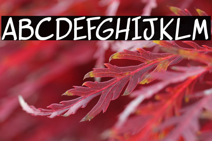 vigilante sidekick Bold Example 1