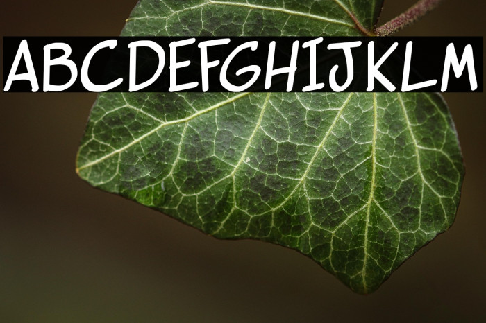 vigilante sidekick Bold Example 2