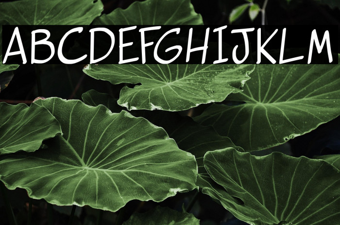 vigilante sidekick Example 2