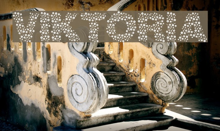 viktoria Font examples