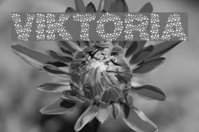 viktoria Font examples