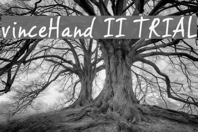 vinceHand II TRIAL Font examples