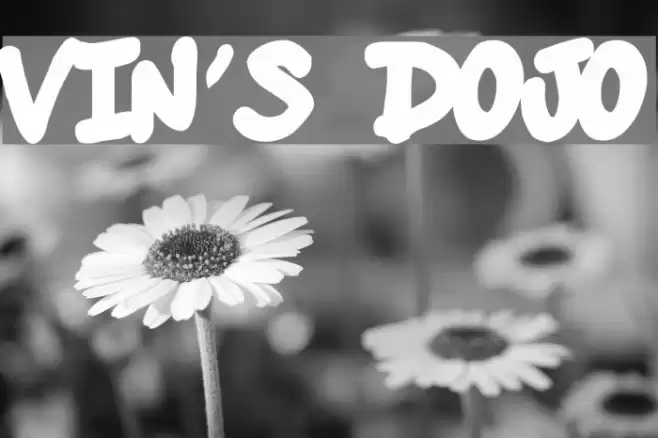 vin's dojo Font examples