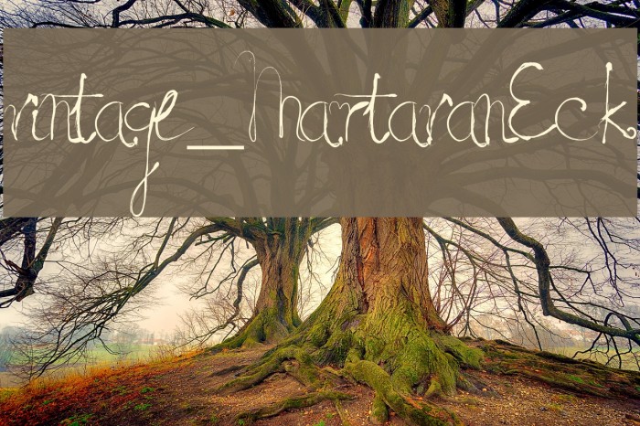 vintage_MartavanEck Font examples