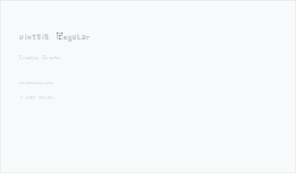 vintsis Regular Business Card