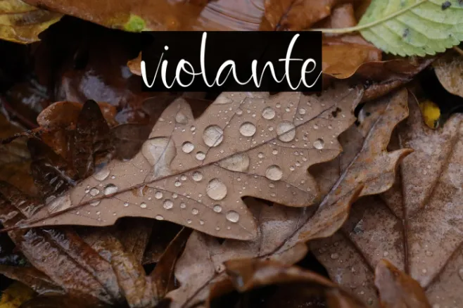 violante Example 1