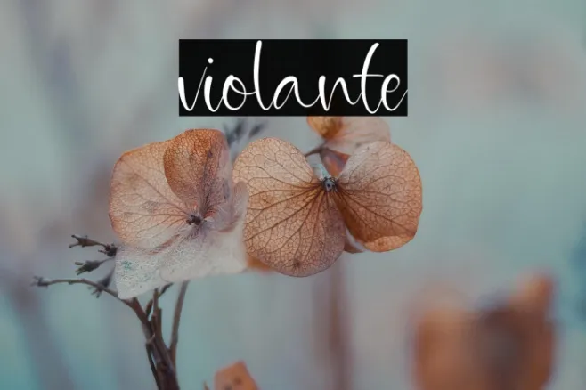 violante Example 3