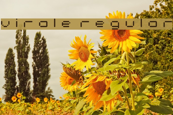 virale Regular Font examples