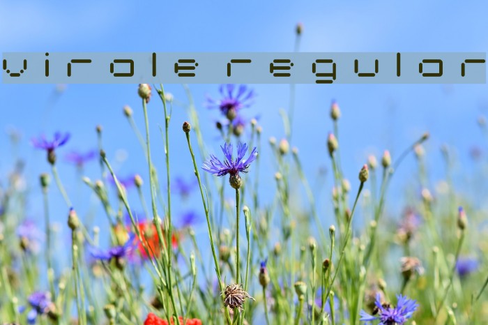 virale Regular Font examples