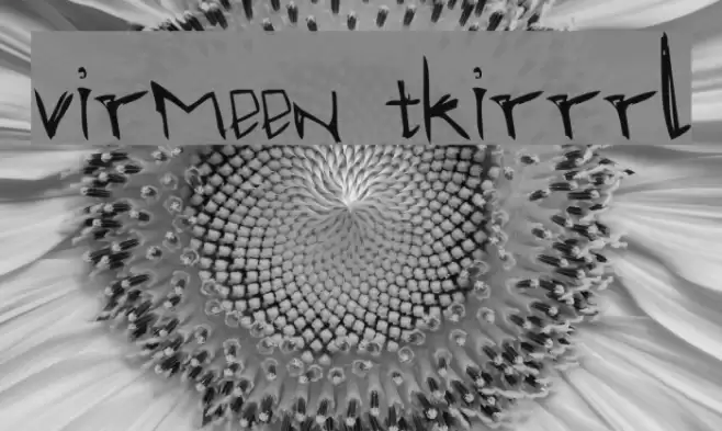 virmeen tkirrrl Font examples