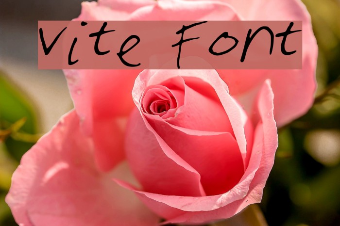 vite Font examples