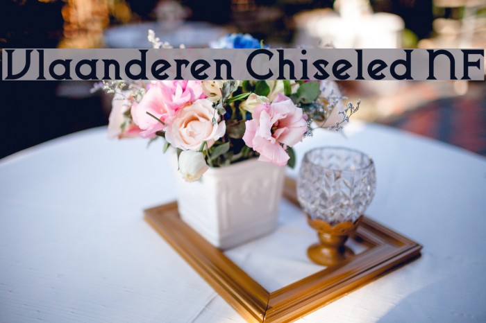 Vlaanderen Chiseled NF フォント examples
