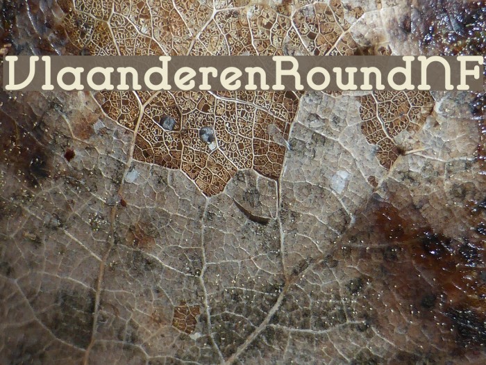 VlaanderenRoundNF Font examples