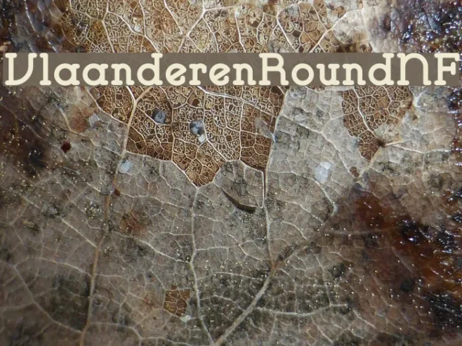 VlaanderenRoundNF Example 1