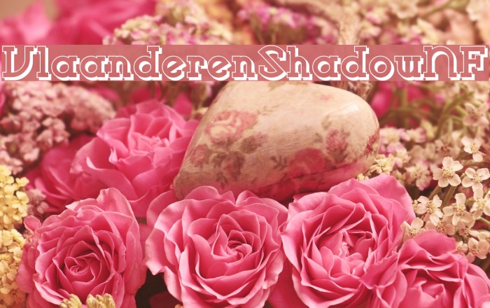 VlaanderenShadowNF Example 2