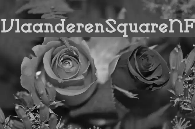 VlaanderenSquareNF Font examples