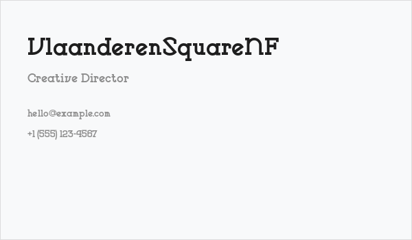 VlaanderenSquareNF Business Card