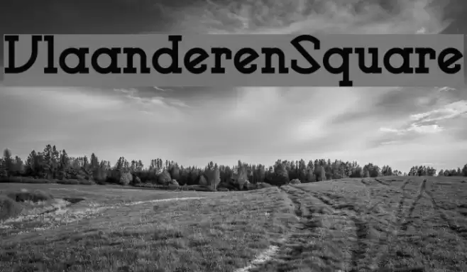 VlaanderenSquare フォント examples