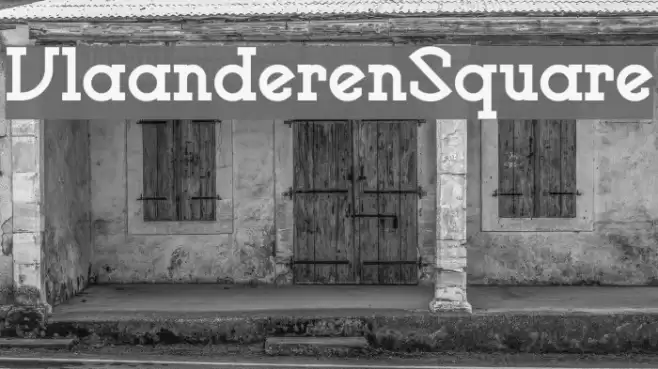 VlaanderenSquare フォント examples