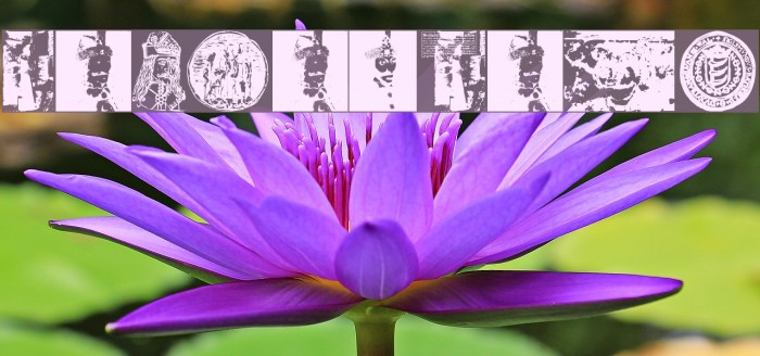 VladDraculBats Example 2