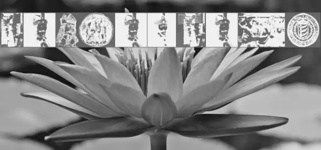 VladDraculBats Font examples