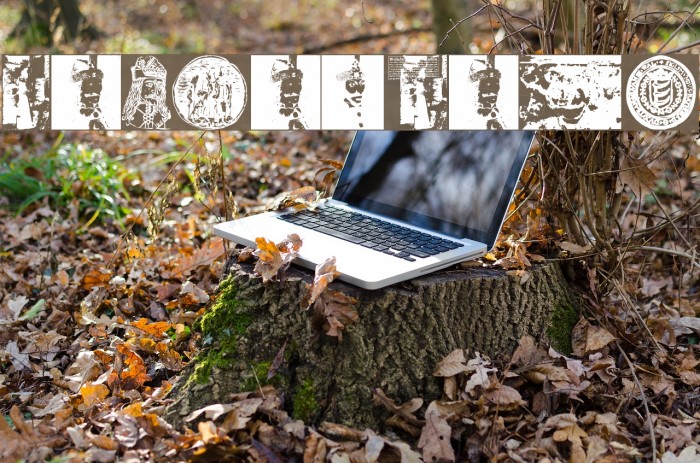 VladDraculBats Example 3