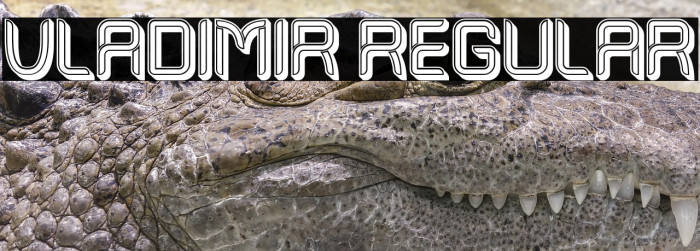 Vladimir Regular Example 1