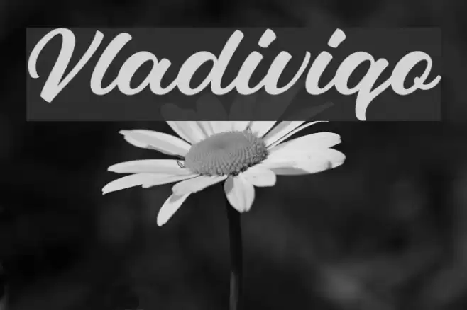 Vladiviqo Font examples