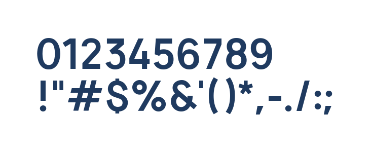 Vladivostok Bold Other Characters