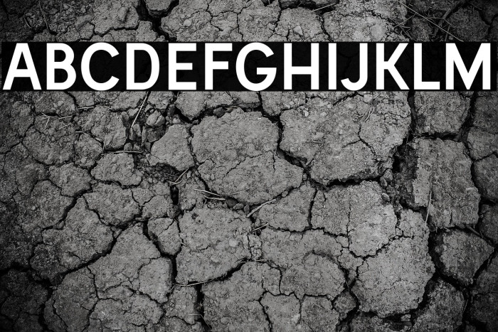 Vladivostok Bold Example 1