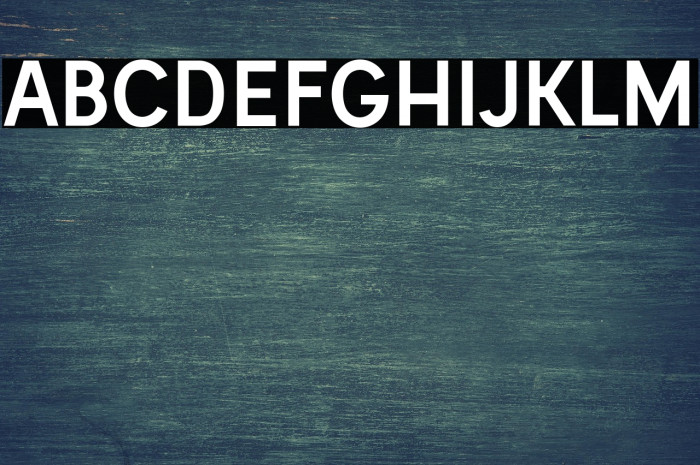 Vladivostok Bold Example 3