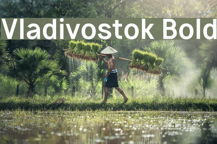 Vladivostok Bold Example 1