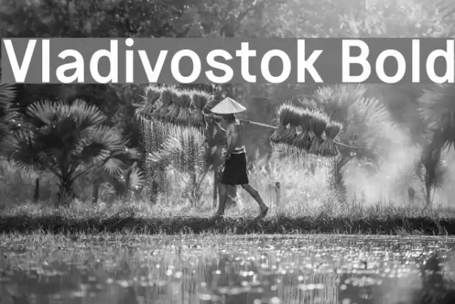 Vladivostok Bold Font examples