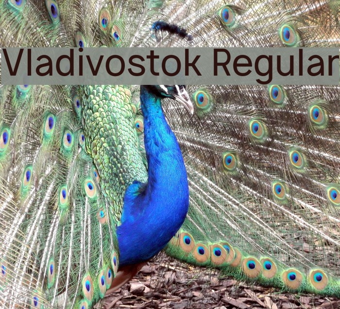 Vladivostok Regular Example 1