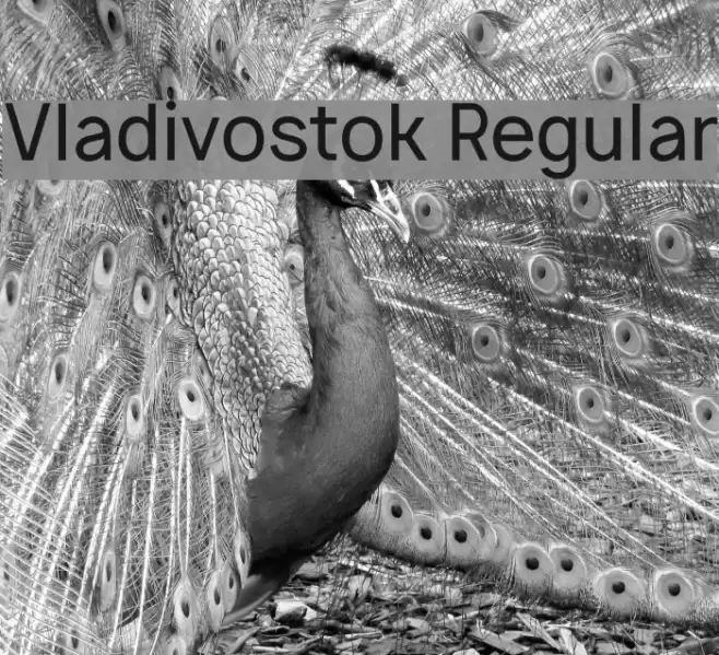 Vladivostok Regular Font examples