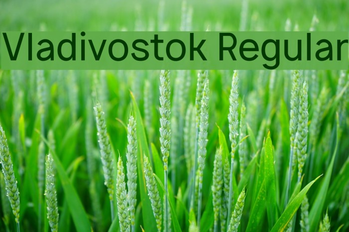 Vladivostok Regular Example 3
