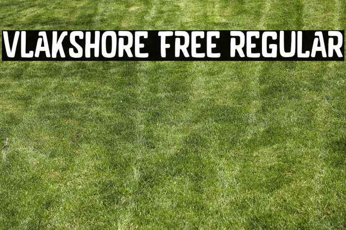 Vlakshore Free Regular Example 1