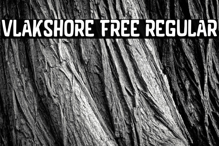 Vlakshore Free Regular Example 3