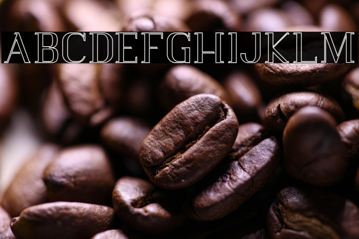 Vlorens Flower DEMO Outline Example 2