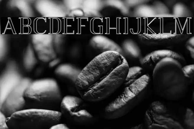 Vlorens Flower DEMO Outline Font examples