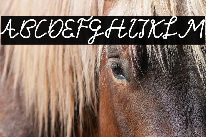 Vlorens Flower DEMO Script Example 1