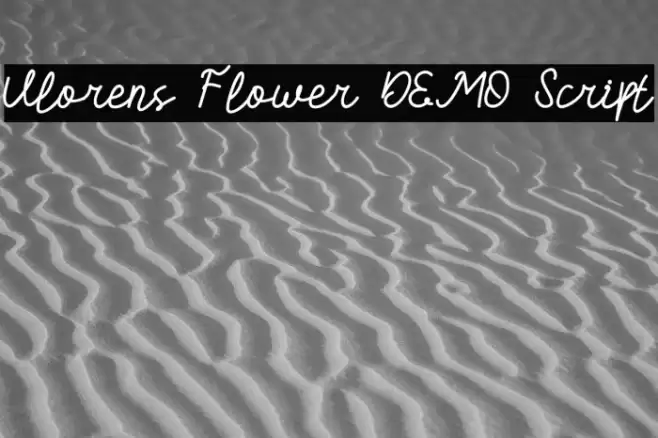 Vlorens Flower DEMO Script Font examples