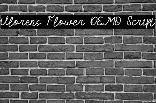 Vlorens Flower DEMO Script Font examples
