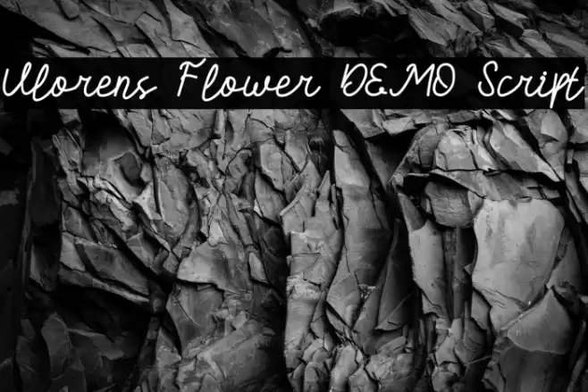 Vlorens Flower DEMO Script Font examples