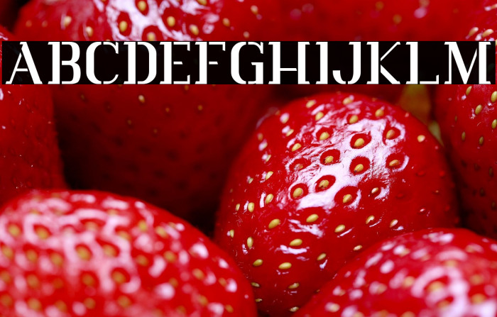 Vlorens Flower DEMO Stencil Example 2