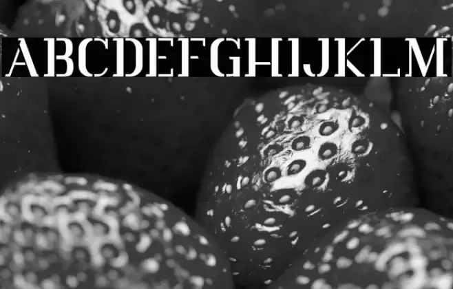 Vlorens Flower DEMO Stencil Font examples