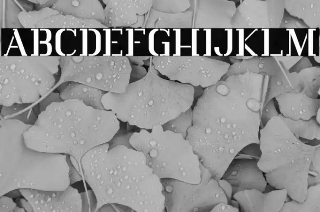 Vlorens Flower DEMO Stencil Font examples