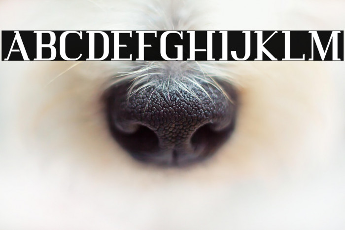 Vlorens Flower DEMO Example 1