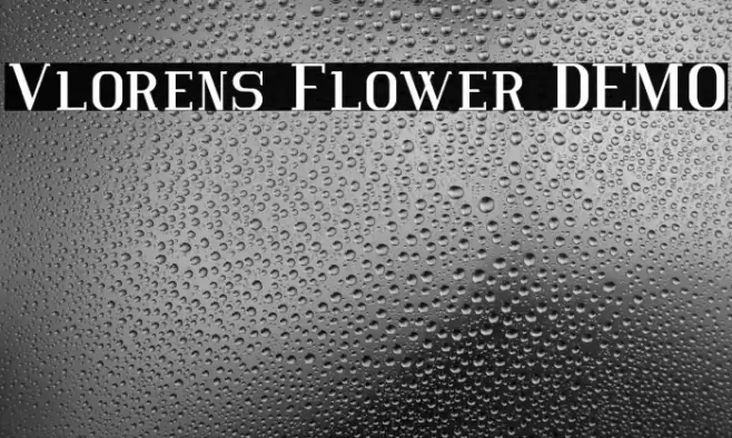 Vlorens Flower DEMO Font examples