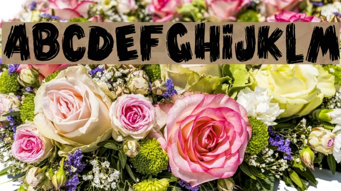 Vlump Black Example 3